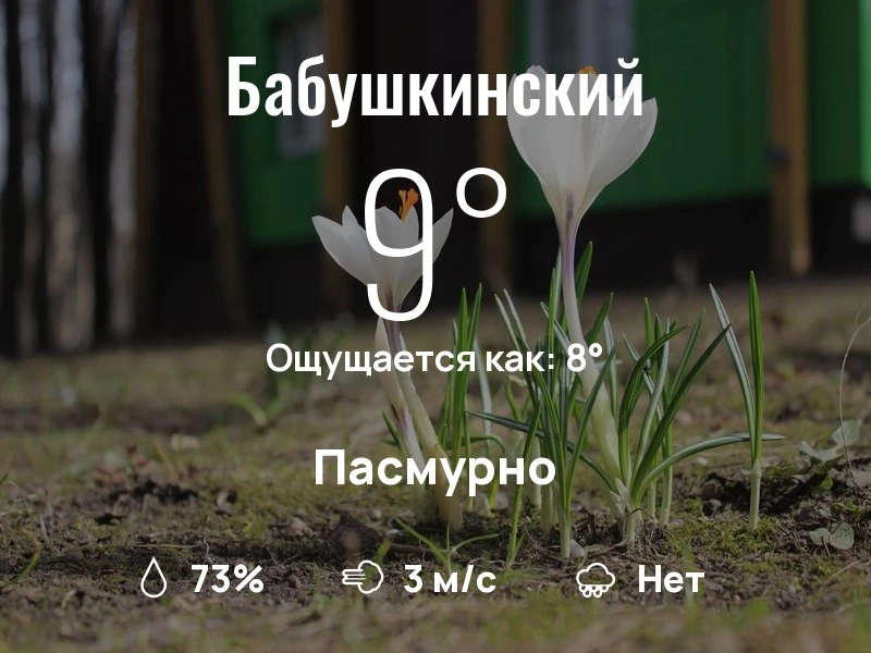 Что с погодой в Бабушкинском?