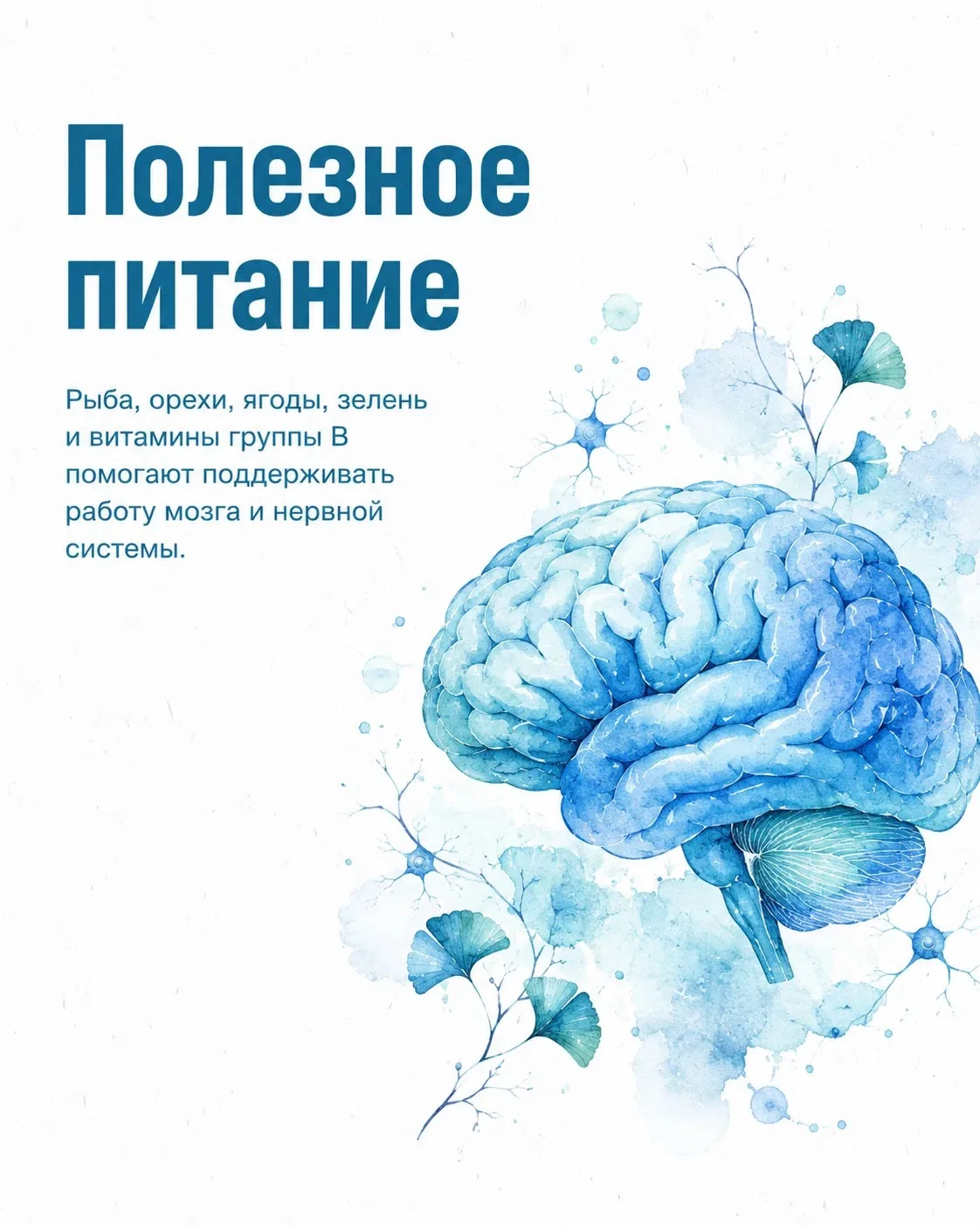 Здоровье мозга 🧠

Мозг работает без перерывов и отвечает за память, внимание, эмоции и функции всег