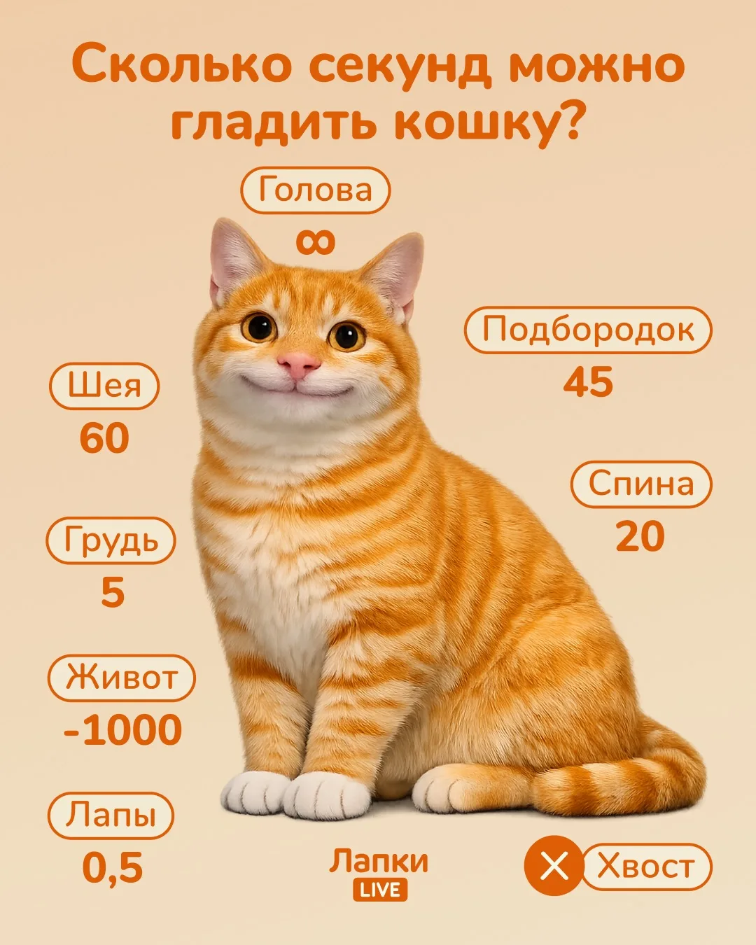 Сколько времени вам «выделено» на поглаживание кошки?

Осторожно! Счётчик обнуляется мгновенно и без