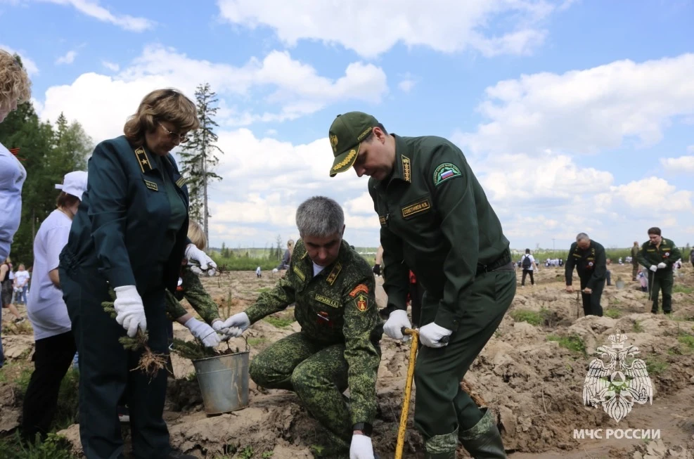 🌳Сотрудники МЧС России Подмосковья приняли участие в акции «Сад Памяти»  Московская область приняла 