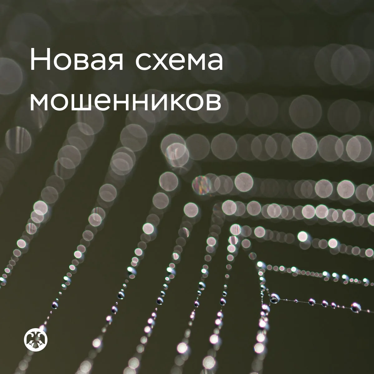 Новая схема обмана — «замена счета в Центробанке»
