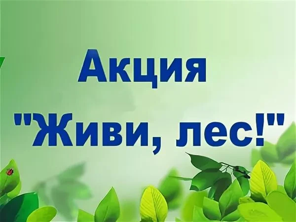 С 10 ноября 2025 г. по 28 ноября 2025 г. в образовательных организациях Шпаковского мун...