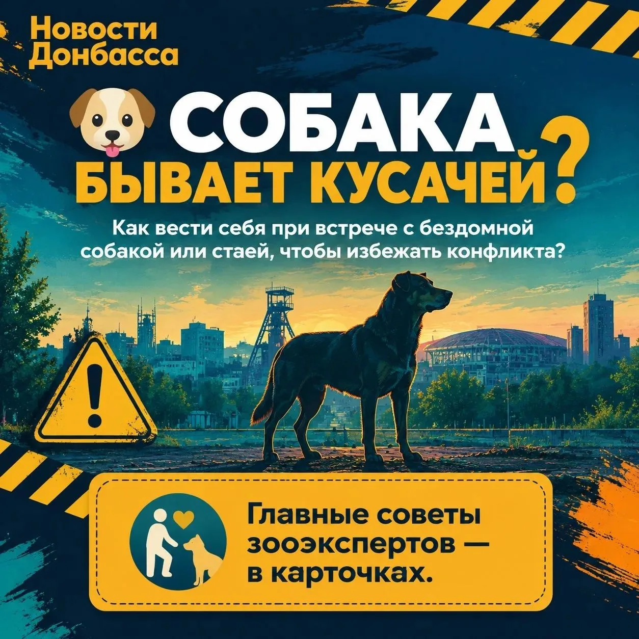 🐶 Безнадзорные собаки: как обезопасить ребёнка? 🐶