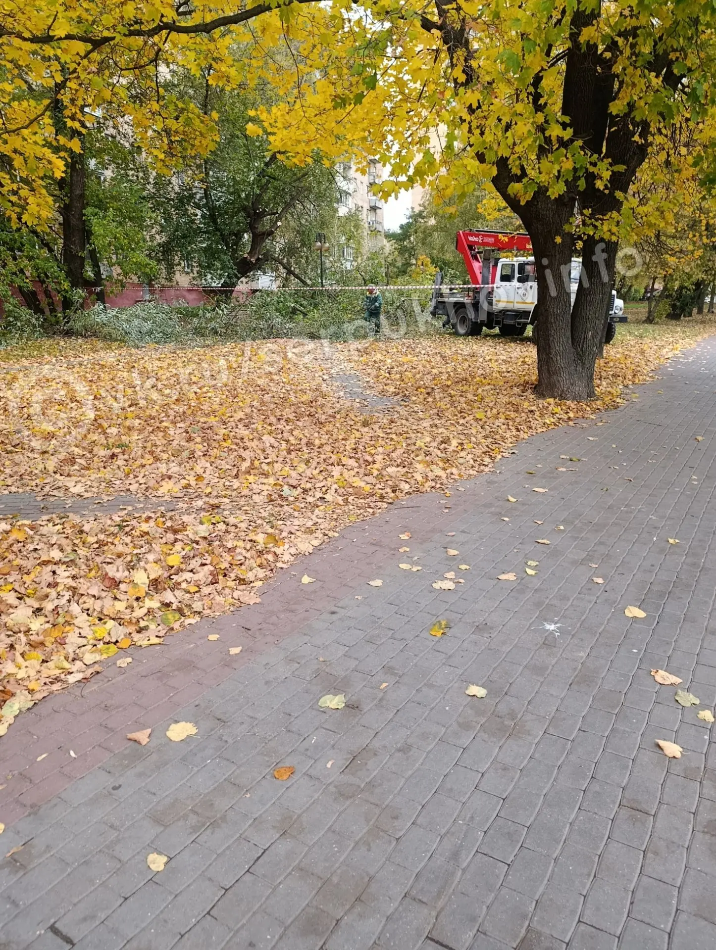 От подписчика: