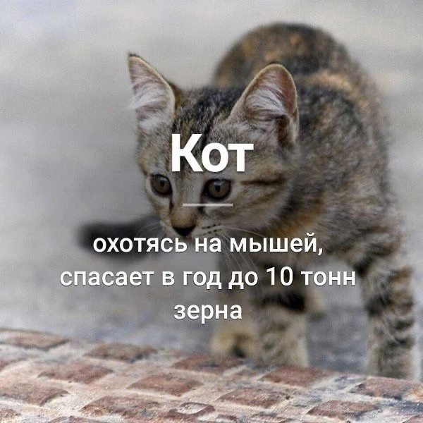 Признавайтесь, знали?