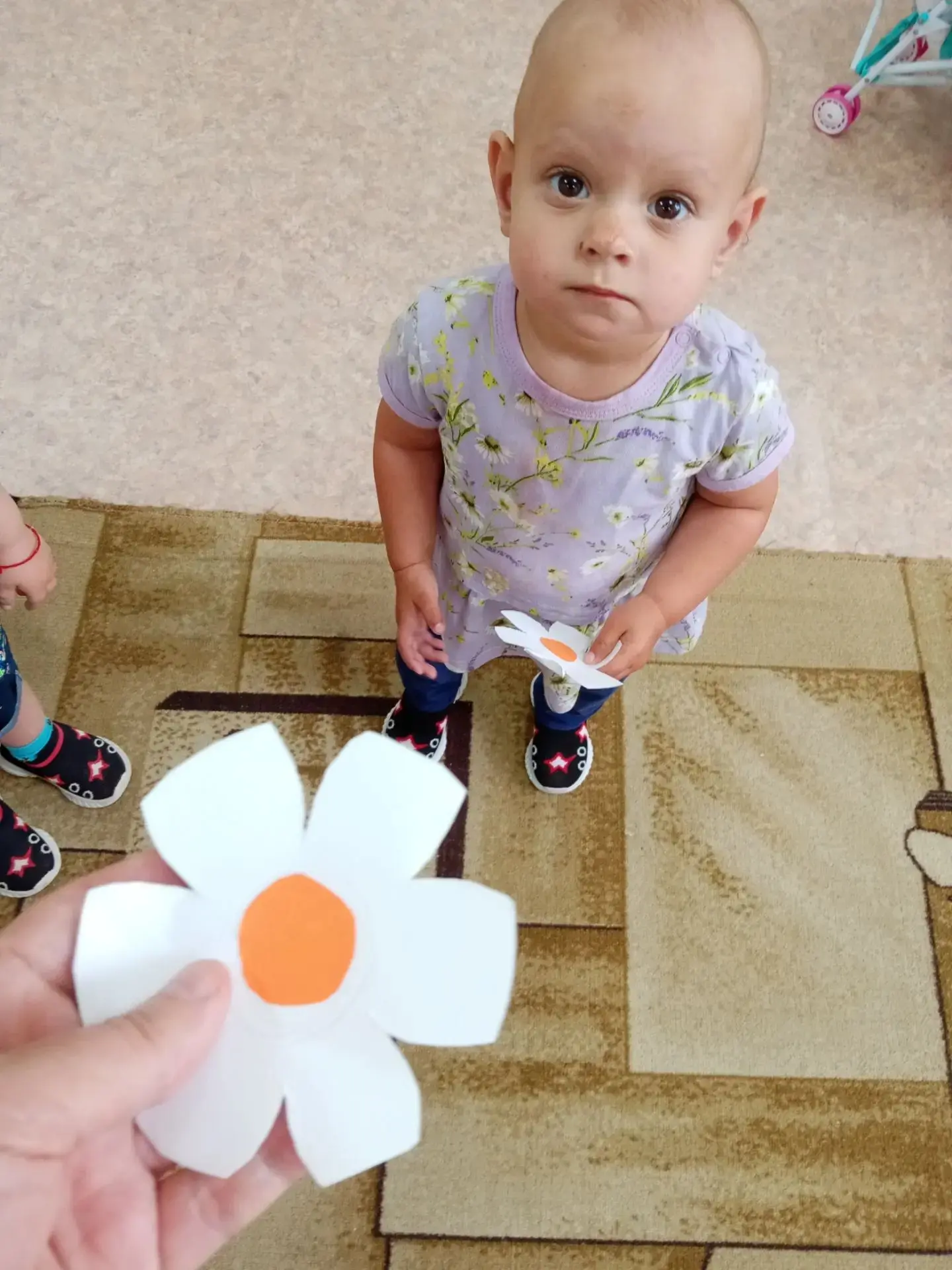 🌼Белая ромашка — символ любви!❤️