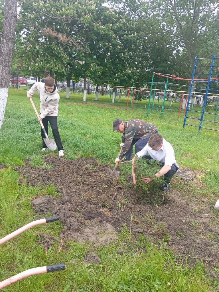 🌳 Продолжая традиции! 🌳  В рамках доброй традиции, выпускники 9"Вл" класса посадили деревья 🌲🌲🌲 на т
