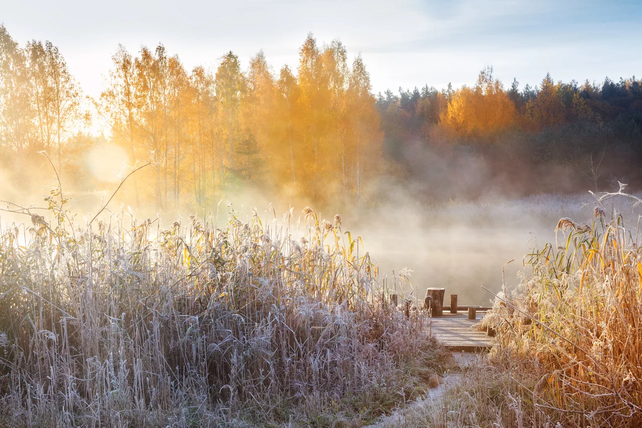 Ку эрнере пӗрремӗш юр ӳкме пултарӗ