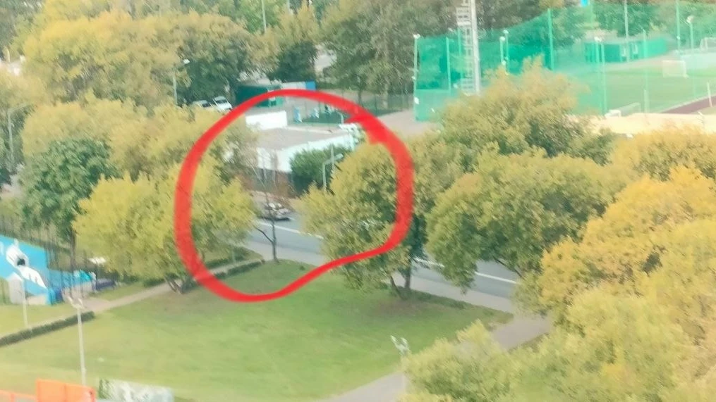 Соседи жалуются на гонщиков, которые «летают» по району с неимоверно громким звуком.