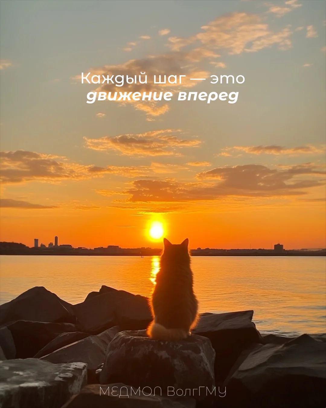 Иногда во время учебы кажется, что ты стоишь на месте.