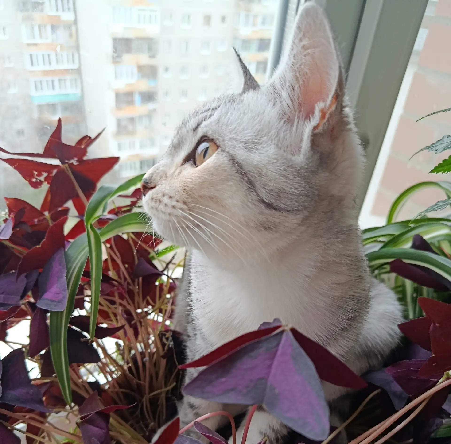 🌱 Расписание на вторник 03.03.2026
