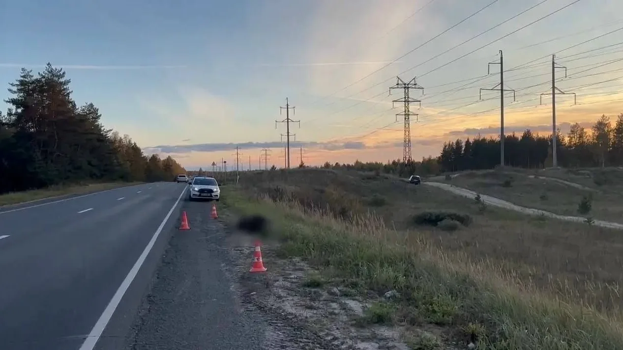 🫎 Лось погиб под колёсами автомобиля в Балахнинском округе.