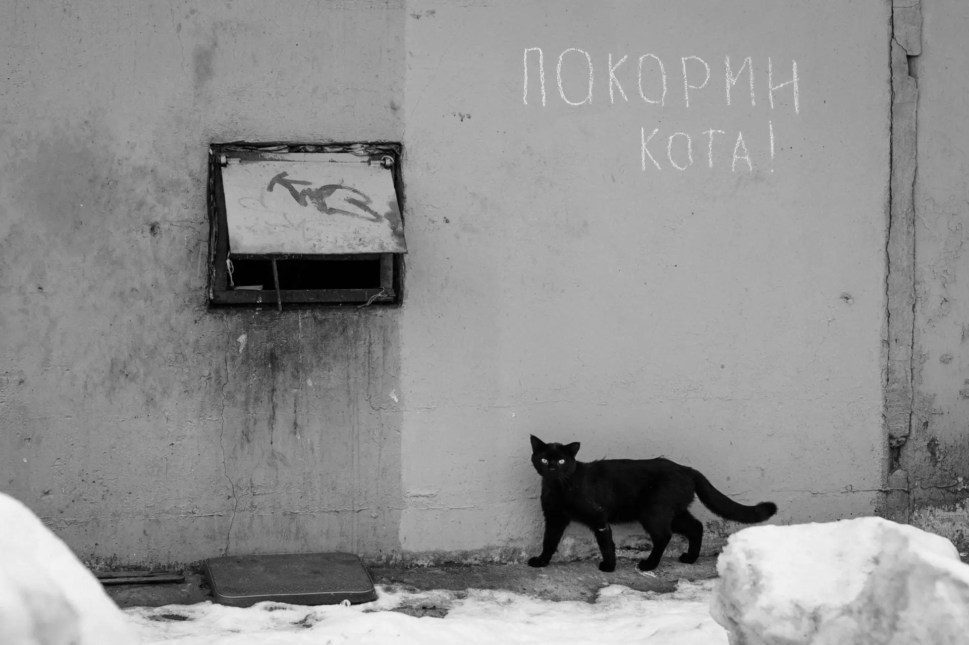 📸 Увидеть Русский Север таким, каким его видят молодые фотографы

В нашем внутреннем дворе работает