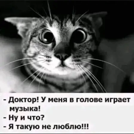 👉Юмористка