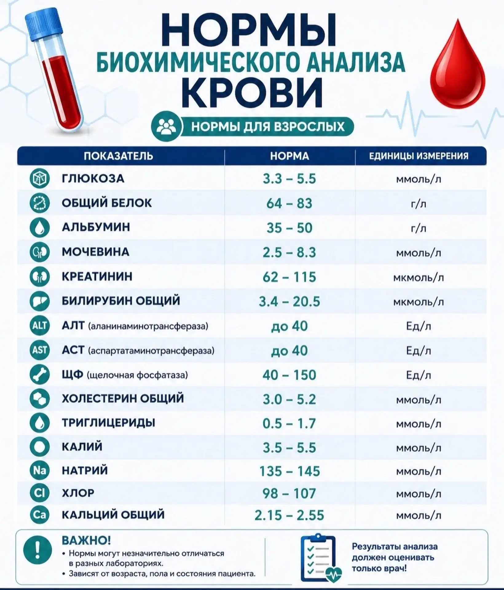 Нормы биохимического анализа крови