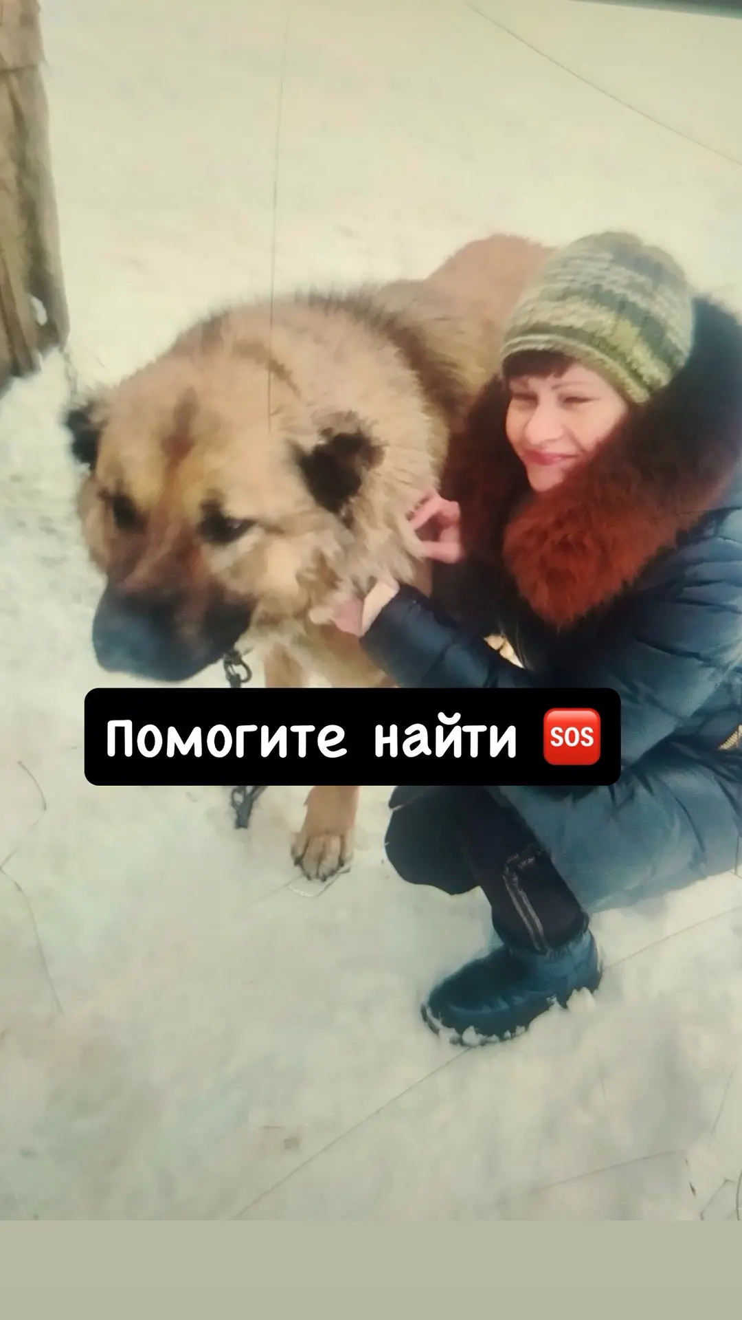 Помогите найти 🆘