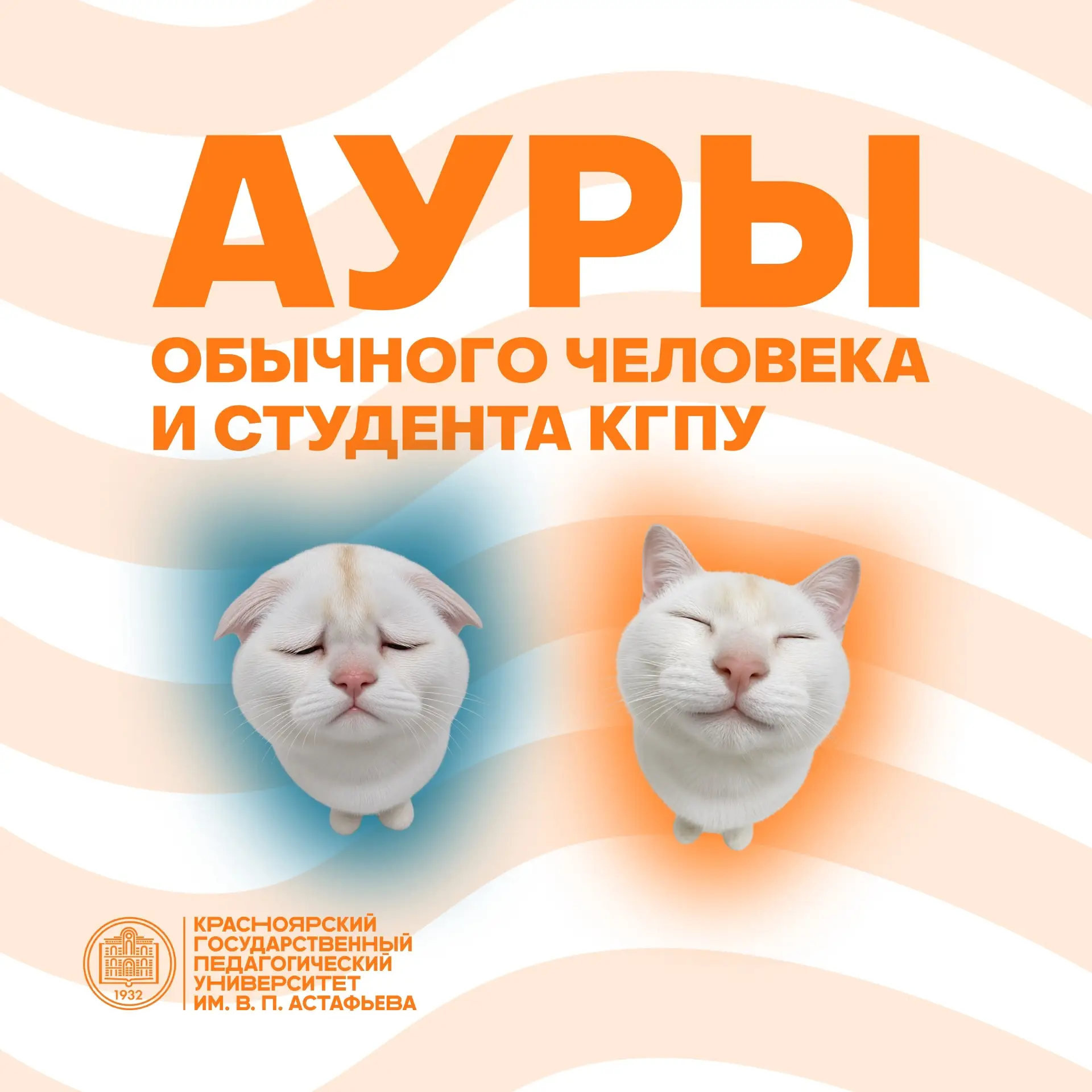 За что мы любим университет: студенты педагогического на ауре 🥶