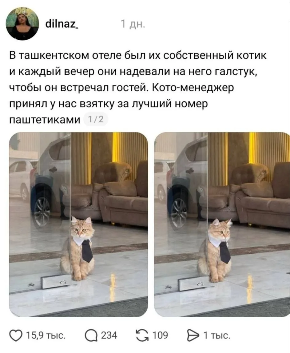 Какой джентльмен