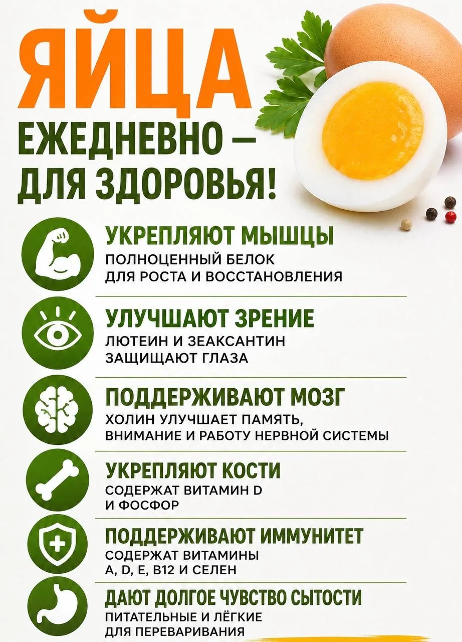 ЯЙЦА — ПРОСТОЙ ПРОДУКТ, КОТОРЫЙ СТОИТ ОСТАВИТЬ В ЕЖЕДНЕВНОМ РАЦИОНЕ.