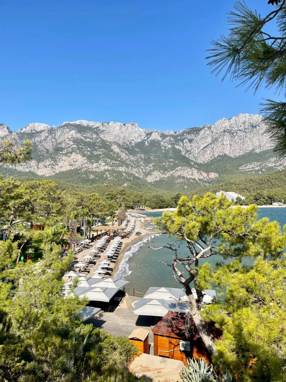 Наконец-то:
‼️Оффер на сам 👑NG PHASELIS BAY 5* Luxe 
Ура! И в этом году тоже: король-отель не наруш