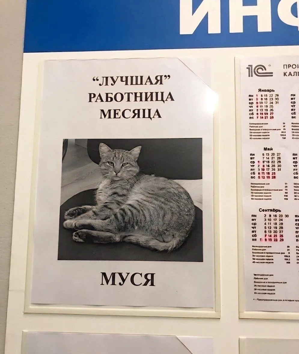 Вот и подошла к концу офисная рабочая неделя и наступил долгожданный пятничный #бесоёбн...