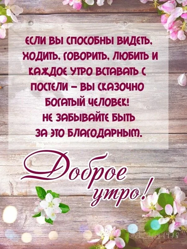 🌺🩷🌺🩷