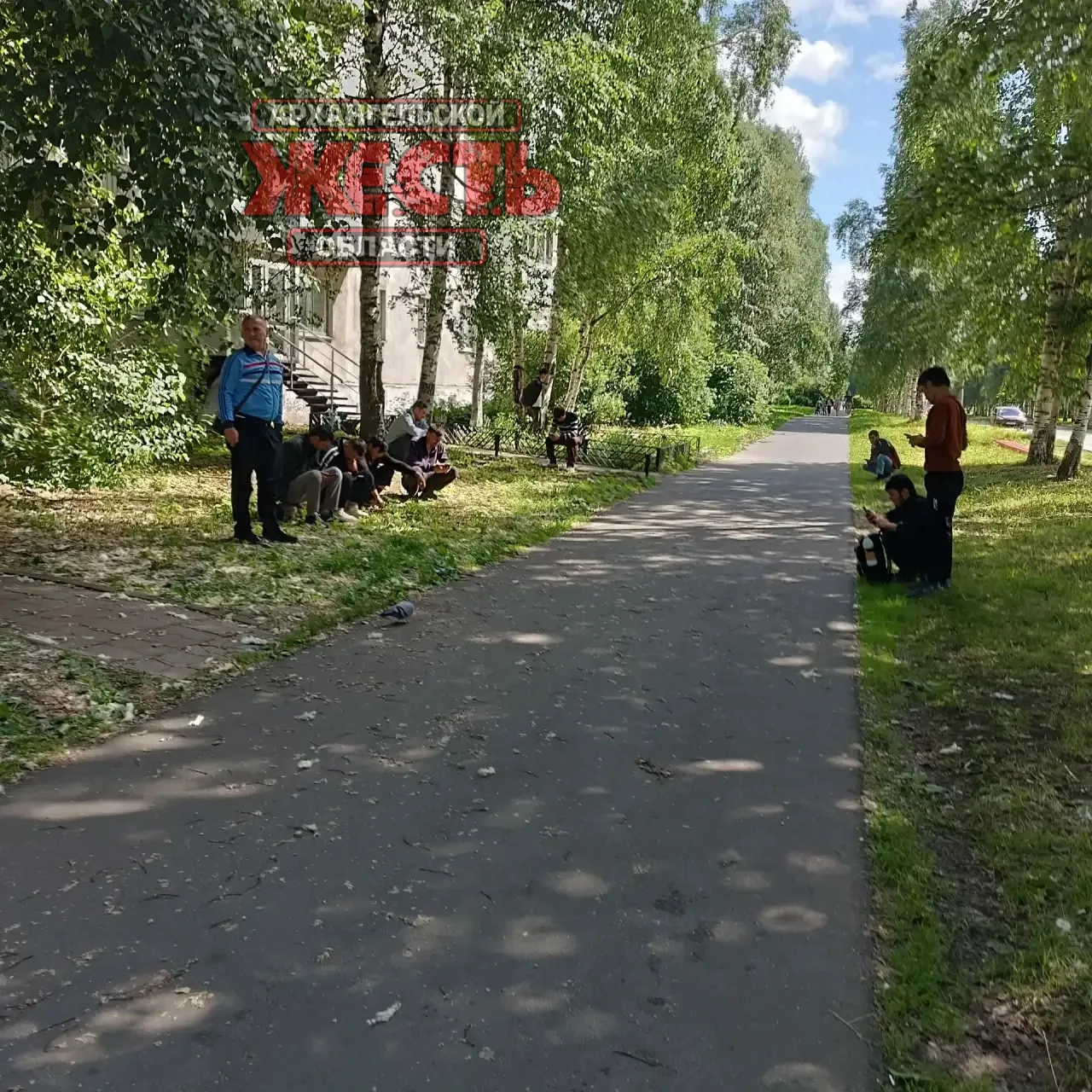Шабалина,30 в Архангельске превращается в Таджикистан..... Работает на два помещения в ...