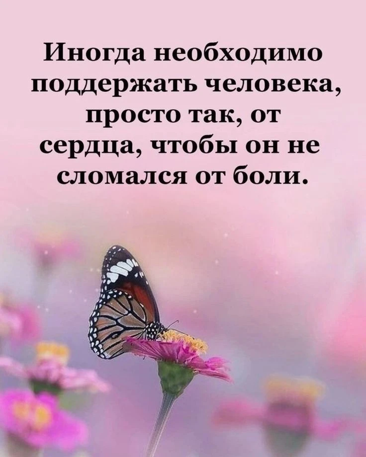 #цитаты