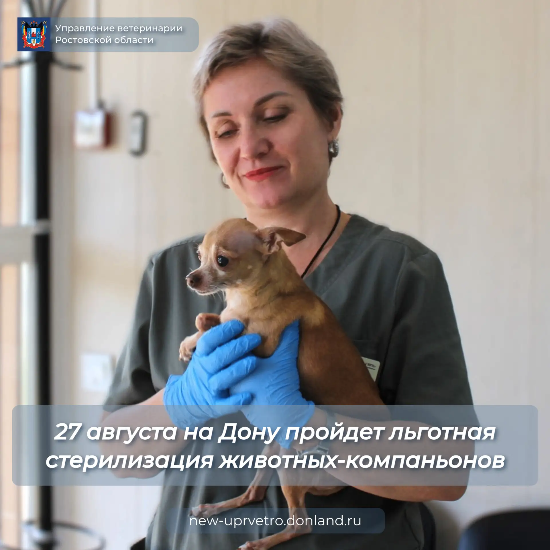В Ростовской области продолжается программа льготной стерилизации домашних животных. Бл...
