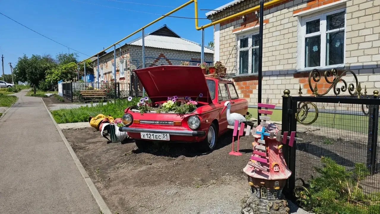 Одна из самых необычных придворовых территорий в Белгородской области, а точнее в Корочанском районе