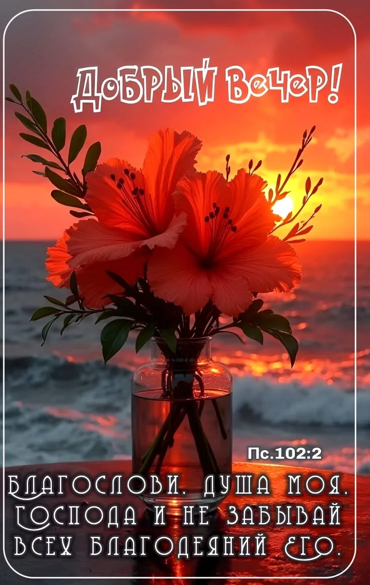 Подпишись 👇
Мои открытки  - МАХ • Открытки • Доброе утро • С днём рождения • Спокойной ночи