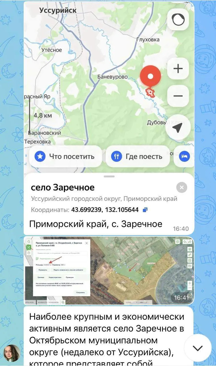65 соток в Приморье: пример участка, который сейчас оформляет клиент