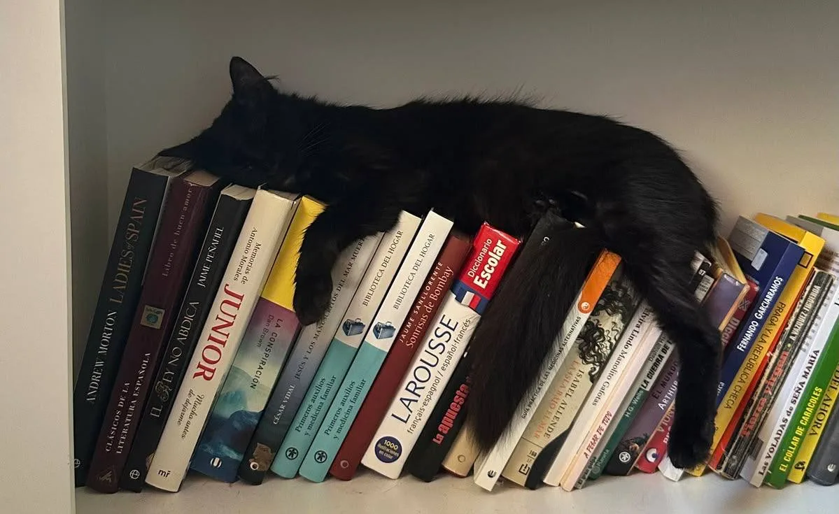 А как вы расставляете книги на своих книжных полках?