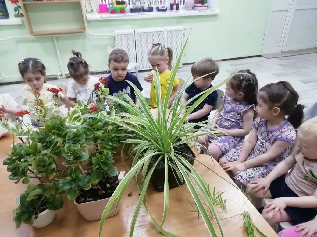 🌿 Наши «Гномики» знакомятся с природой!
У наших самых маленьких исследователей из ясельной группы п