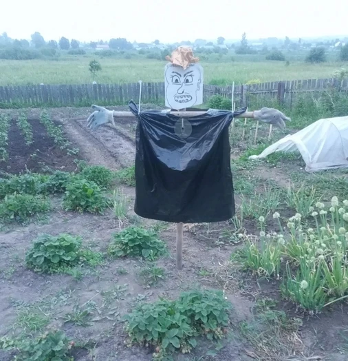 📸 ВНИМАНИЕ: ФОТОКОНКУРС!