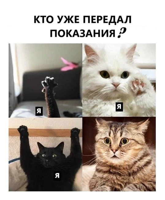 Уважаемые собственники и наниматели!