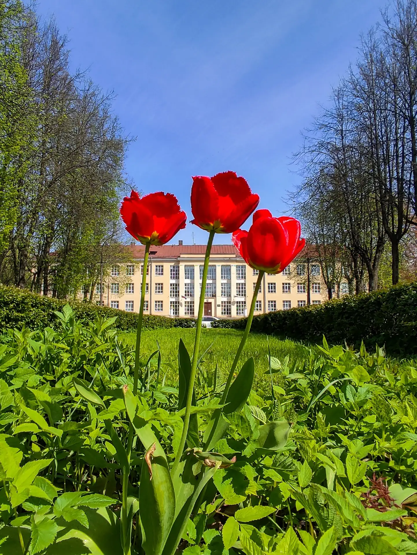 Доброе утро, Колтуши! 😎Хорошего дня! ☀️