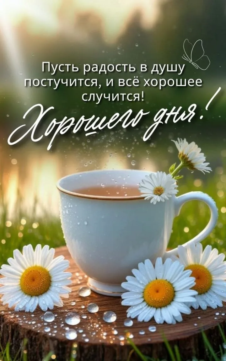 Замечательного дня! 🌸