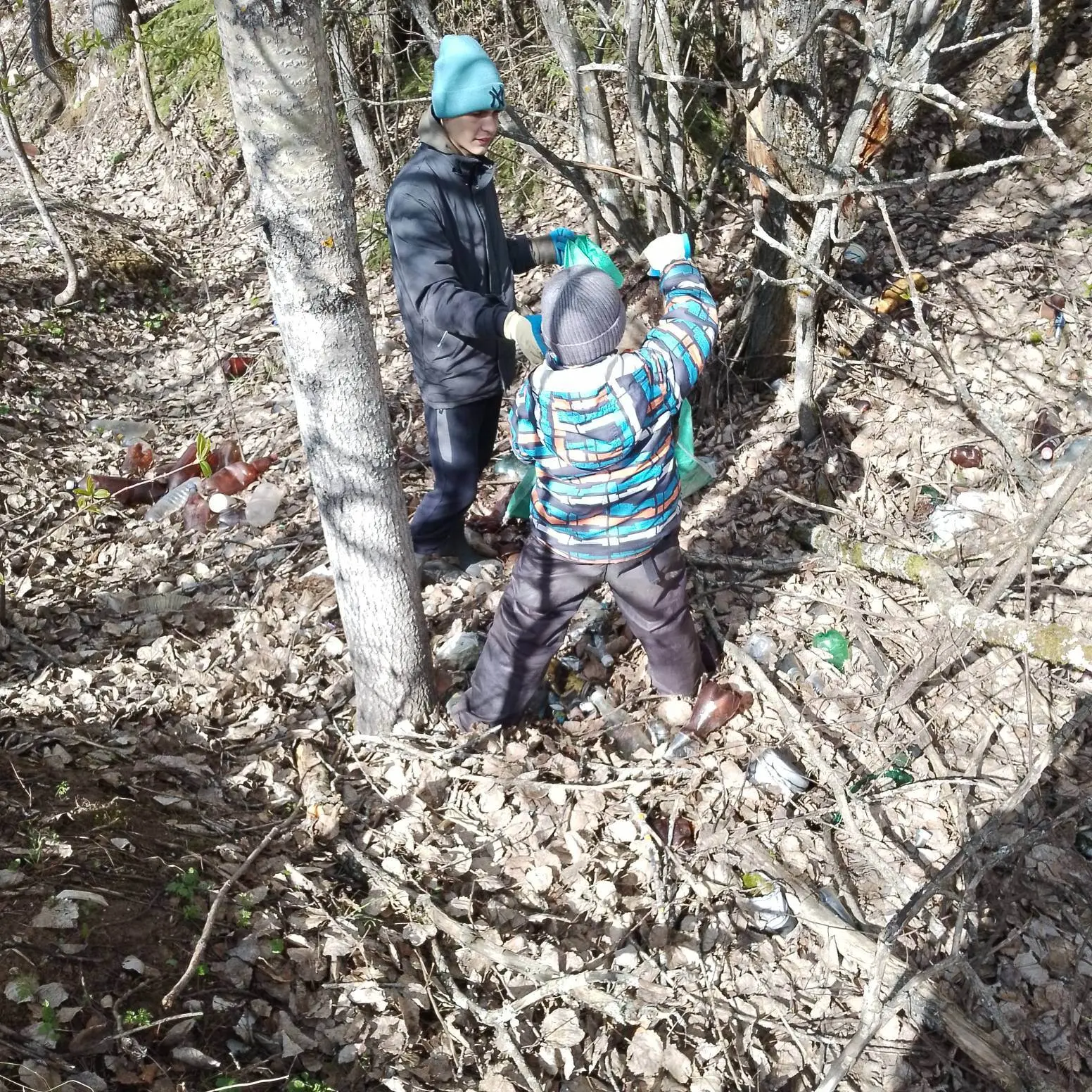 Субботник школьного лесничества: вместе за чистый лес!