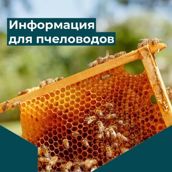 🐝Информация для пчеловодов