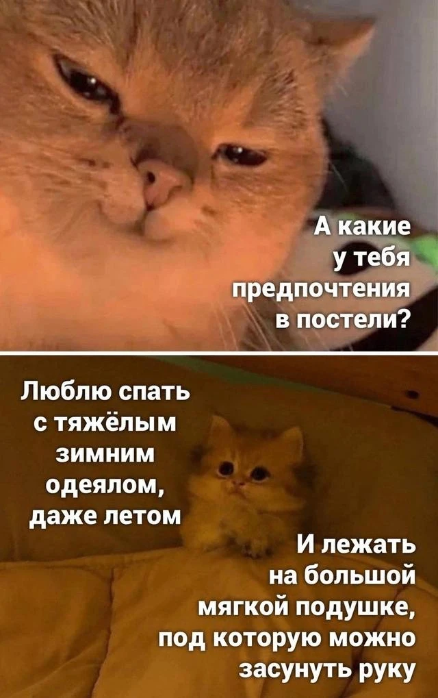Себя узнали? 😁