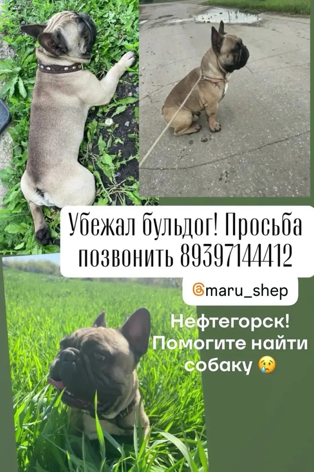 ❗️❗️❗️❗️СРОЧНО НЕФТЕГОРСК ❗️❗️❗️❗️