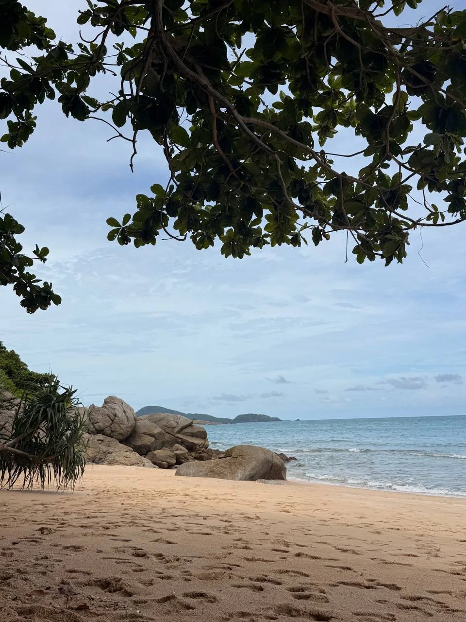 🇹🇭 Вчерашняя новость про Таиланд многих напугала. А зря.