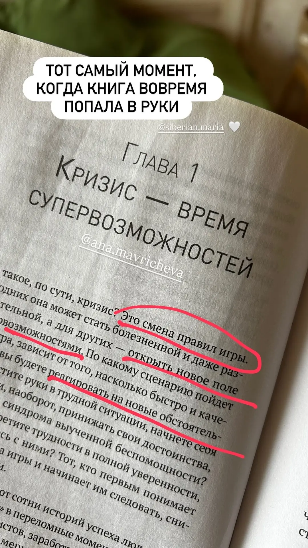Иногда вовремя попавшая в руки книга может стать тем самым источником вдохновения, кото...