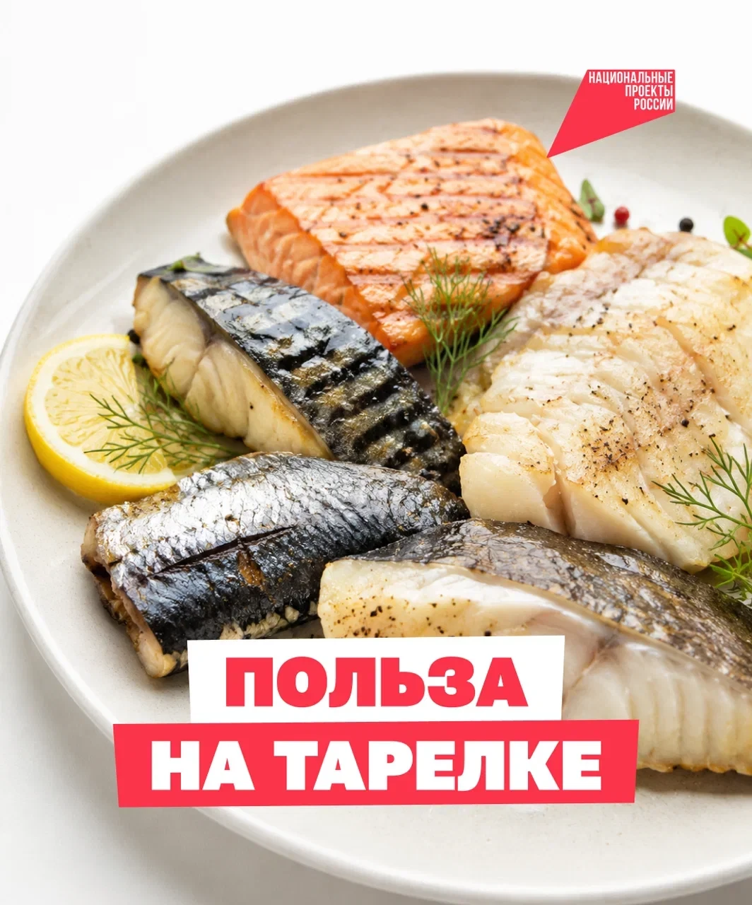 Начинается белая полоса 🐟