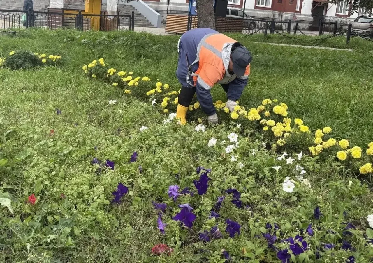 🌱 Силами МБУ «Дорстрой» продолжаются мероприятия по благоустройству и комплексному ухо...