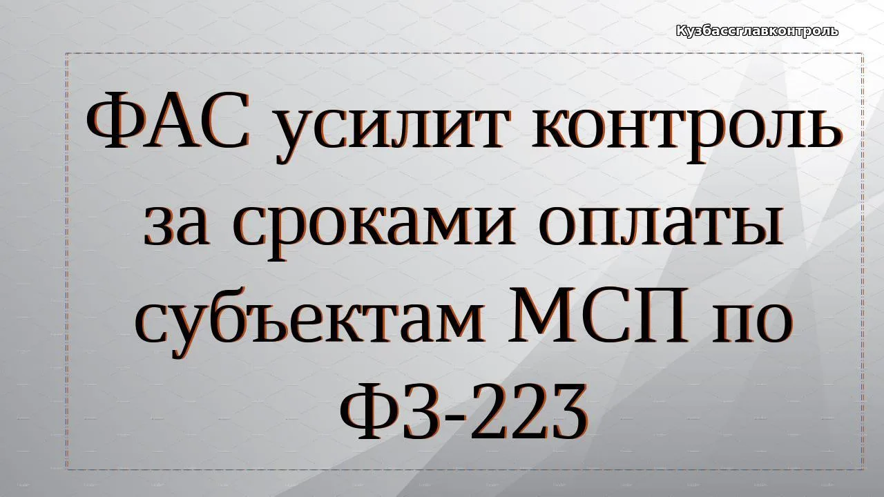 ФАС России поручила территориальным управлениям провести проверки соблюдения заказчикам...