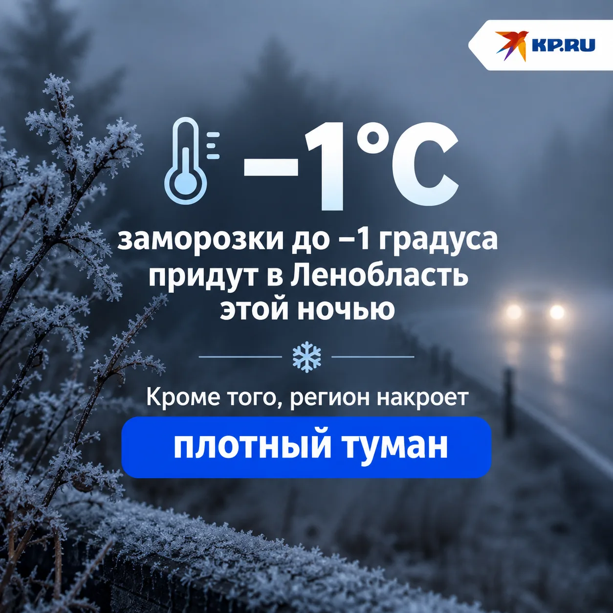 Заморозки до –1 °C ожидаются в Ленобласти этой ночью, предупреждает МЧС.