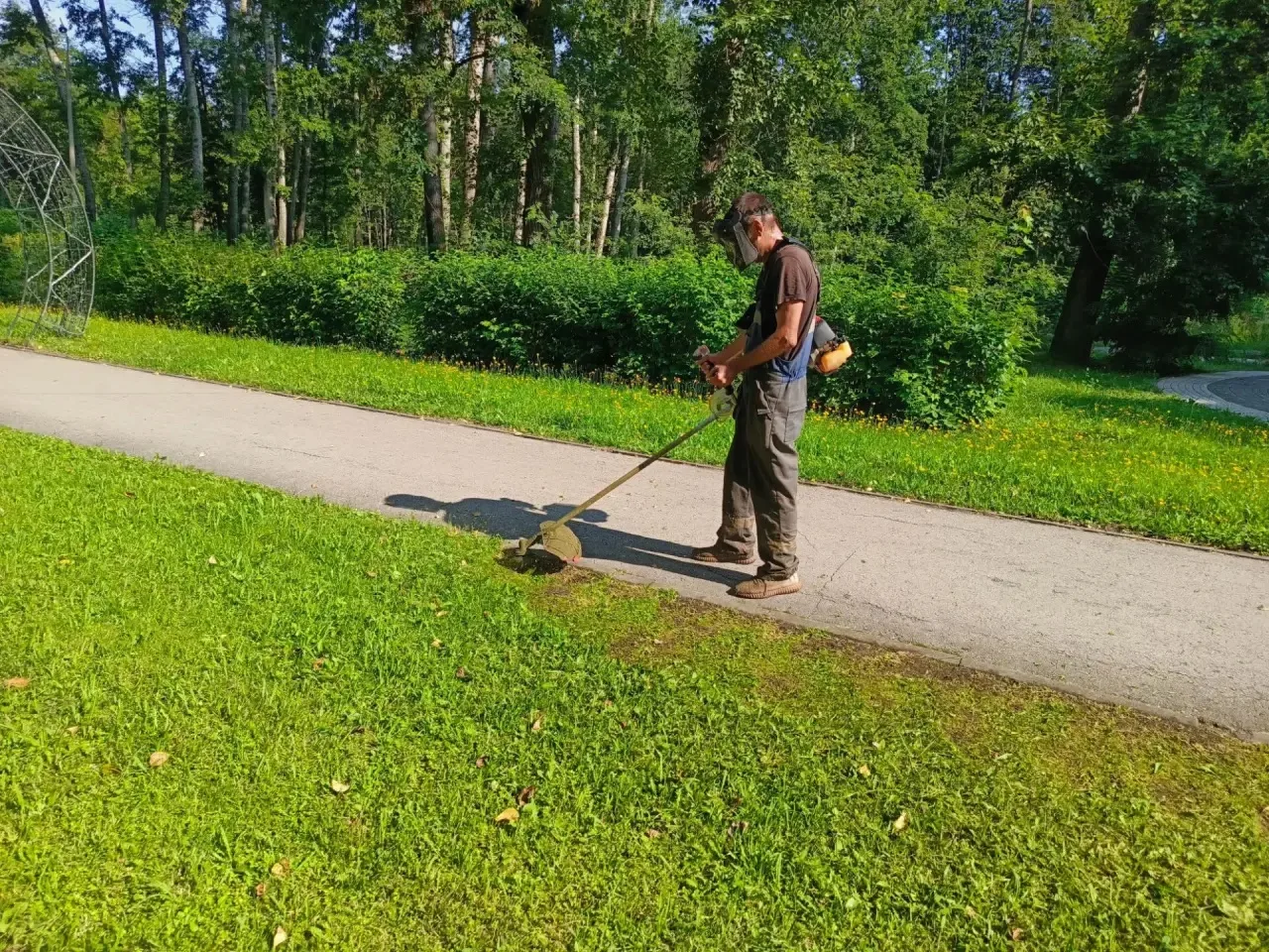 Парк обновляется!🌳