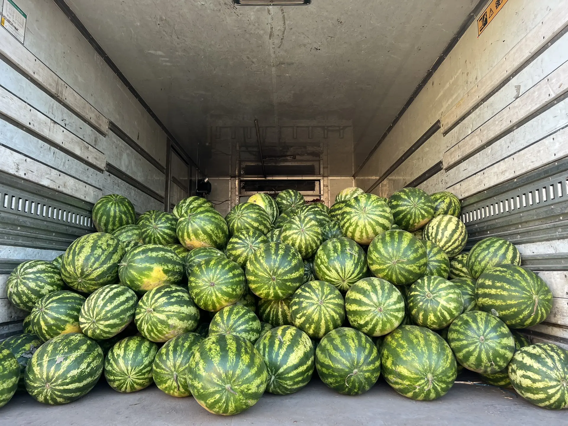 Свежие Арбузы 🍉 - 3️⃣5️⃣🅿️